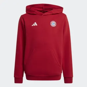 Adidas Youth FC Bayern Crest Hoodie